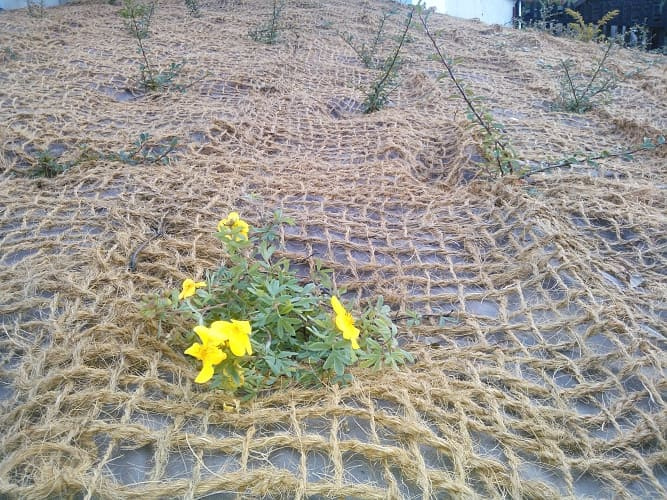 kokosova-siet-na-spevnenie-svahov-geomanet-k-eko-w800-h600-8f1d6d1ee16a333bc3b80eae52efc37a